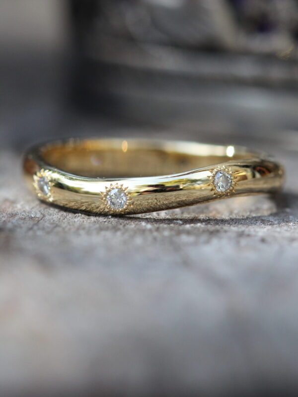 Anillo Guía