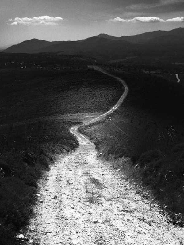 Ruta